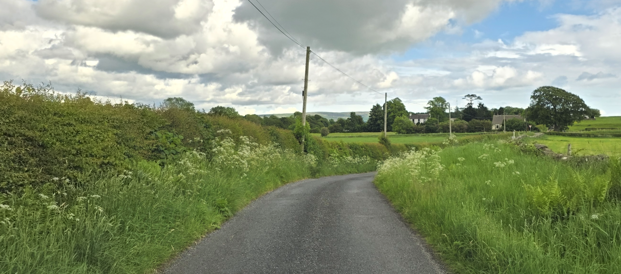 Enterprise Stability: Who’s Cutting Your Grass?